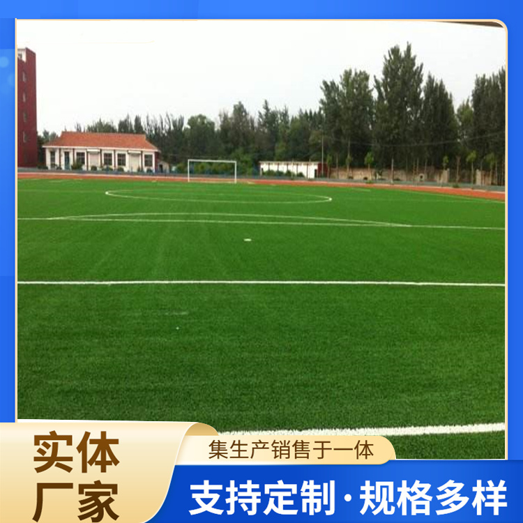 咸宁市塑胶跑道人造草坪 - 价格
